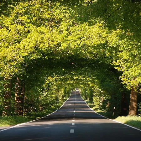 Im Herzen Von Ruegen Kwatera prywatna